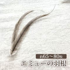 エミューの羽根 4g (約65~80枚) 羽根シャワー 天然 乾燥・脱臭済 装飾 コスプレなどに　定形外発送