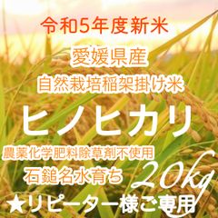 令和度新米 愛媛県産ヒノヒカリ 自然栽培稲架掛け 農薬化学肥料
