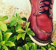 shop-thumbnail