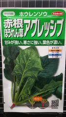 赤根 アグレッシブ ほうれん草 ホウレンソウ 種 ３袋セット