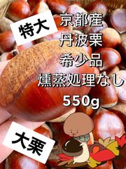 希少品　在庫1個　京都産　丹波栗　鬼皮 手拾い　サイズ9L(45-48g) 550g  殺虫剤不使用