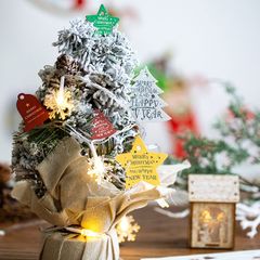 2種　クリスマス　タグ　吊り下げ飾り　デコカード　多用途　クリスマスグッズ
