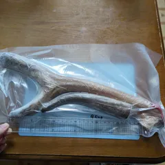 大浦宝　蝦夷鹿　袋角　鹿茸　2080g 2025年最新】鹿茸 袋角の人気アイテム - メルカリ