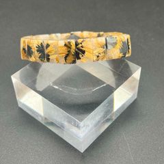 Item thumbnail for item 23add9f8-dcdc-4306-a24e-69b3ee8ea944