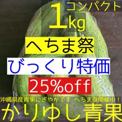 〈へちま祭・びっくり特価〉沖縄県産ミニヘチマＢ品約１kg【コンパクト】⑥