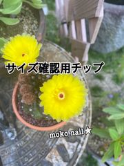 サイズ確認用チップ★