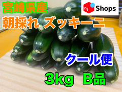 クール便 宮崎県産 ハウス栽培 朝採れ ズッキーニ 3キロ B品 美肌効果 免疫力アップ 便秘解消 血圧対策 ダイエット
