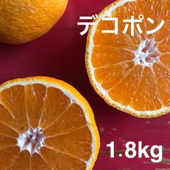 デコポン　不揃いなので　湘南産　甘くてジューシー　1.8kg