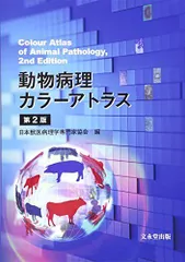 2025年最新】カラーアトラス 病理の人気アイテム - メルカリ