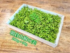 夢農場　実山椒　200g＋30g 長野県産