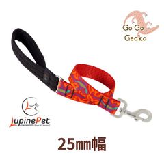ゴーゴーゲッコー柄Go Go Gecko ６０cmショートリード　25mm幅　アメリカ製　軽量　丈夫　パット付き　LUPINE ルパイン　アメリカ直輸入