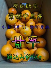 高級柑橘　甘平　小玉無印良品　箱込み約5Kg.