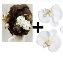 1675 胡蝶蘭　蘭　髪飾り　和装　リボン　ヘアアクセサリー　ヘッドドレス　ヘアパーツ　ホワイト　シャンパン　ゴールド　振袖　成人式　結婚式　白無垢　初詣　ウェディング　水引　卒業式　新品