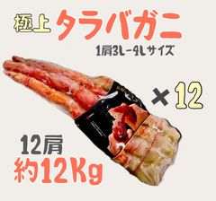 【極上特大 たらば蟹 約12kg】特選 タラバガニ
