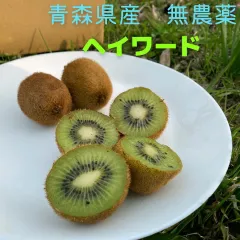 (加工用) 生食ok 青森県産　無農薬　雪の中でじっくり保管　キウイフルーツ　ヘイワード　約3kg