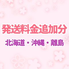 北海道・沖縄県・離島運送料金追加分