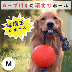 [Msize] 犬用 ボール 丈夫 紐付き 大きめ パンクしない 壊れない Jolly Pets ジョリーペット Romp-n-Roll ロンプンロール ジョリーボール ロープ おもちゃ ジョリーペット 投げるおもちゃ 噛むおもちゃ 弾む