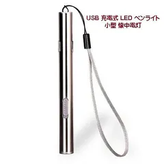 LED ペンライト 小型 懐中電灯 USB 充電式 災害 防災 緊急 スリム ツール キャンプ アウトドア 釣り USB アウトドア スリム　TEC-EGLAREDのサムネイル