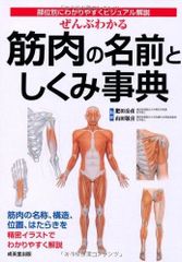 筋膜連鎖からみた遠隔矯正の真実 波田野征美先生 - メルカリ