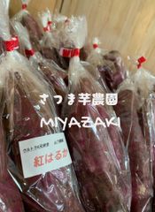 予約受付中】紅はるか苗 2000本＊宮崎県産 - メルカリ