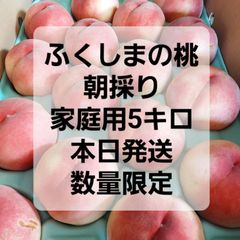 ふくしまの桃　朝採り　家庭用　5キロ　数量限定