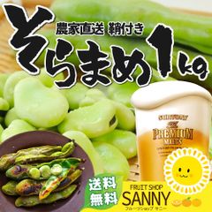 そら豆 そらまめ 1kg サヤ付き 愛媛県産 ソラマメ 空豆 国産 塩ゆでや豆ポタージュに おやつ ビール お酒のおつまみ お野菜 食品ロス コロナ おうち時間応援 産地直送