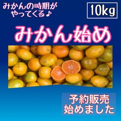 みかん始め　10kg