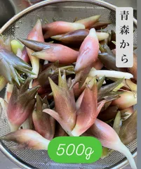 2024年最新】朝採りみょうがの人気アイテム - メルカリ