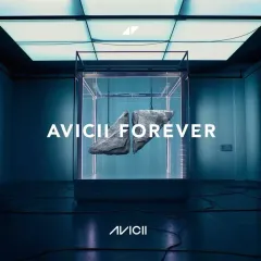 2025年最新】avicii グッズの人気アイテム - メルカリ
