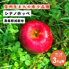 幻の林檎 「シナノホッペ3キロ箱A品B品ミックス」減農薬 農林水産大臣賞 りんご 長野県産 安曇野 信州産 産地直送 送料無料 3キロ 箱使用 果物 フルーツ 鮮度抜群 産地直送