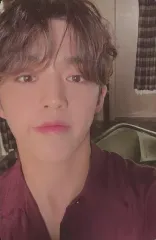 【中古】コレクションカード(男性) SEVENTEEN/S.COUPS(エスクプス)/裏面緑/CD「FML」Version A(FALLEN. MISFIT. LOST ver.)封入特典フォトカード