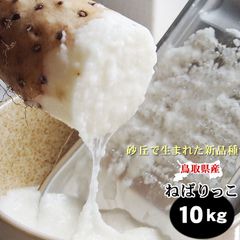 ねばりっこ 約10㎏ 鳥取県特産品とろろ[常温]イモながいも長芋