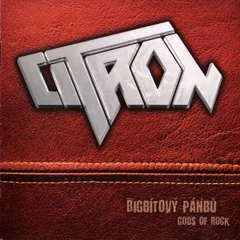 チェコCD Citron Bigb?tov? P?nb? / Gods Of Rock 8594073110992 Citron /00110のサムネイル