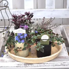 アン様専用ページ