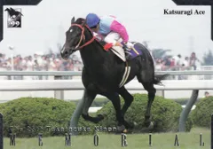 【競馬】メモリアルカード等セット　ケース付き Amazon.co.jp: 2019年 メモリアルレースカード 27種類フル