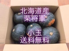 本日最終日  かぼちゃ 北海道 小玉