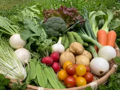 新鮮！旬の野菜セット(夏) Mサイズ 栽培期間中農薬・化学肥料不使用　クール便