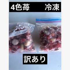 いちご　苺　4色　食べ比べ　冷凍　3袋入り