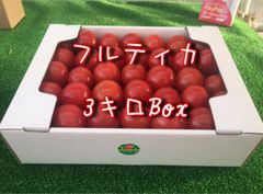 朝どりフルティカ！3キロBOX！(内容量3.3キロ)フルーツトマト！