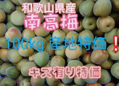 南高梅　100kg キズ有り　産地特価品❕