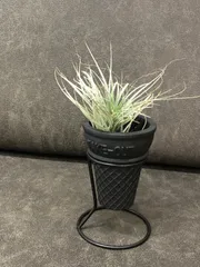 アイスクリームコーン型スタンド付き鉢・植木鉢・インテリア・多肉・サボテン