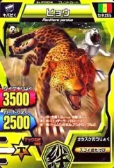 2026年最新】アニマルカイザー14弾の人気アイテム - メルカリ