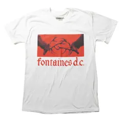 中古レコード　Fontaines D.C.アナログ5枚セット Amazon.co.jp: Romance [Analog]: ミュージック