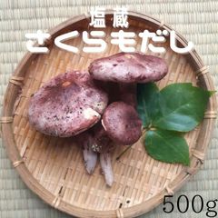 塩漬け きのこ さくらもだし 塩蔵 500g 国産 天然 山形県産 2024年産 令和6年産