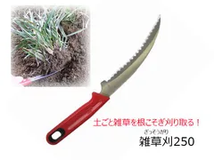 雑草刈り　雑草取り　草抜き　縁石や敷石のすき間　根こそぎ取る「雑草刈２５０」のサムネイル