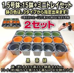 平日＊日中注文即日発送-2セット＊1.5号鉢ミニプラ鉢：3色単色や混合選択(15鉢＋ミニトレイセット)×2セット＊多肉植物・塊根植物コーデックス・アガベ・サボテン・ハオルチア・アデニウム・パキポディウム・実生・種まき・さし芽・さし木＠フラワーショップ江口