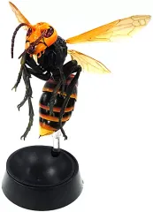 【中古】トレーディングフィギュア 1.オオスズメバチ 「生き物大図鑑アドバンス スズメバチ」