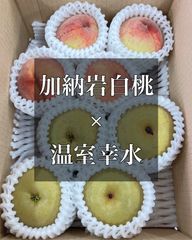 食べ比べセット　加納岩白桃　温室幸水　桃　梨