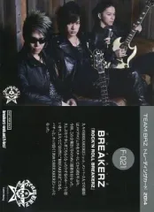 パーソナルエナジー　PEI-201 本体 Personal Energy Imprinter PEI-201