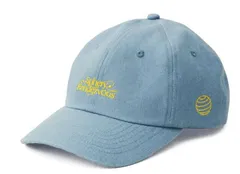 BUMP 周年 XX 帽子 キャップ ANNIVERSARY 新品 Amazon.co.jp: BUMP OF CHICKEN グッズ キャップ 帽子 : おもちゃ